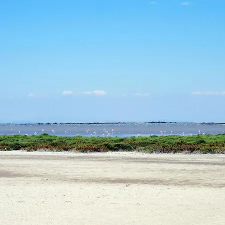 Amigos-6 By Interhome Apartment